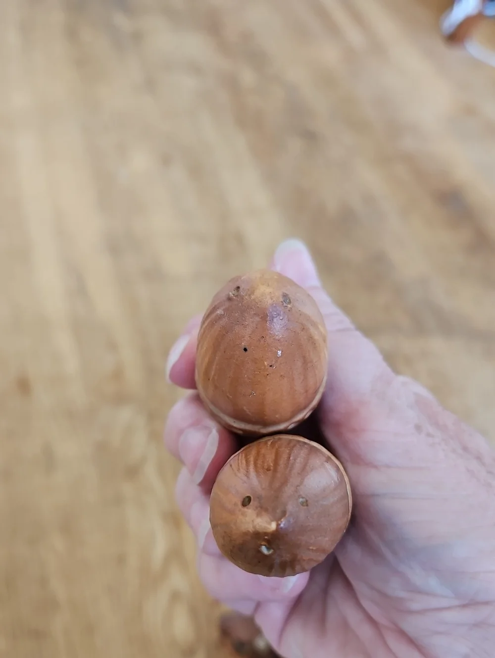 Squirrel Salt And Pepper Shakers